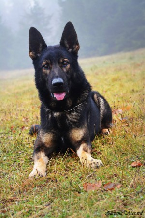 9. Ladislav Michálek a Chúlio z Jurchstavu